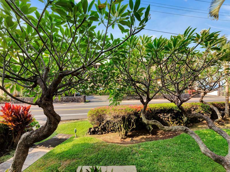 Castle Kona Bali Kai A Condominium Resort Holualoa Bagian luar foto